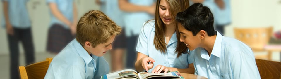The British International School The British International School