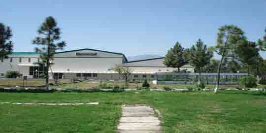 University-of-Malakand