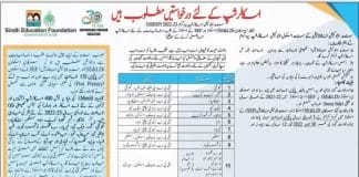 Sindh Education Foundation Scholarship 2022